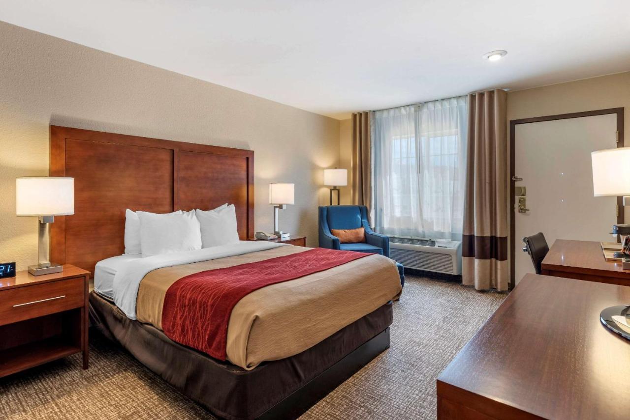 Comfort & Hotel