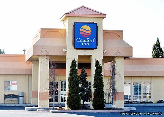 Comfort &